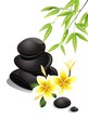 Zen stones with bamboo and plumeria