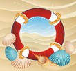 Corals and shells on the sand background