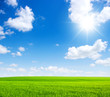 Green field