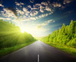 road in Russian forest