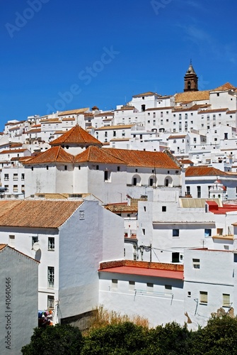 Photo: Alcala de los Grazules, Andalusia, Spain © Arena Photo UK Alcala de los Grazules, Andalusia, Spain © Arena Photo UK