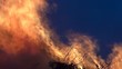 Feuer
