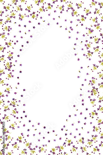 Illustration: flowers frame in white background flowers frame in white background