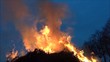Feuer