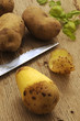 Solanum tuberosum