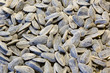 Sunflower Seeds Sunflower Seeds