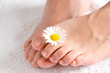 Photo: Füsse Füsse