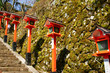 Red japanese lanterns (Kurama, Kyoto) Red japanese lanterns (Kurama, Kyoto)