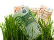 euros in the grass isolated euros in the grass isolated