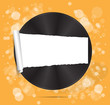vinyl disc background for text vector vinyl disc background for text vector