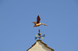 Golden Goose Weathervane