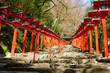 Red japanese lanterns (Kurama, Kyoto) Red japanese lanterns (Kurama, Kyoto)