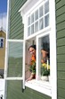 Elderly woman in window