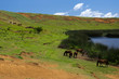 Easter island