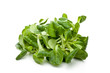 Foto: valeriana valeriana
