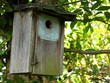 Nistkasten aus Holz für Stare und andere Vogelarten