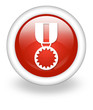 Light Red Icon "Award Medal"