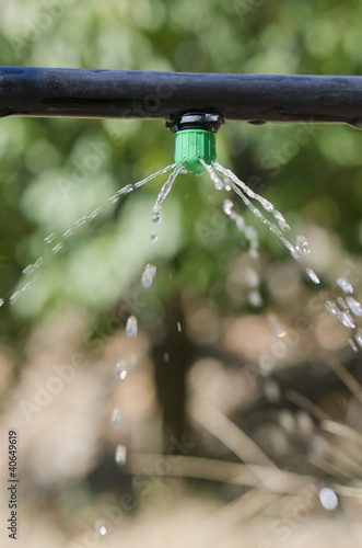 Photo: drip irrigation drip irrigation