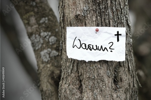Foto: zettl-brettl warum? I zettl-brettl warum? I