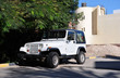 Jeep in the shade of the acacia trees.