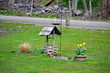 Photo: Back Yard Feeder Back Yard Feeder