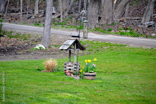 Photo: Backyard Bird Haven Backyard Bird Haven