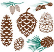 Pinecones