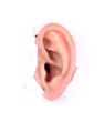 Human ear peeping out from white paper