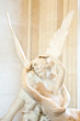 Psyche revived by Cupid kiss