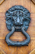 brass door knocker