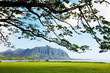 Hawaii