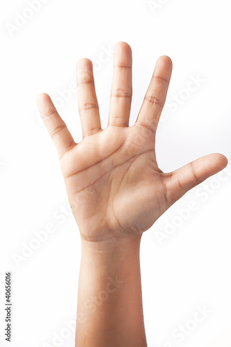 Photo: Five Fingers on one Hand Five Fingers on one Hand