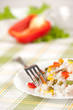 rice dish with vegetables rice dish with vegetables