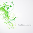 Floral Vector background