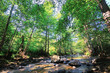 fresh water
