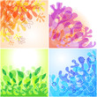 Floral backgrounds Floral backgrounds