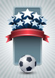 Championship soccer banner