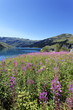 vertical alpine landscape