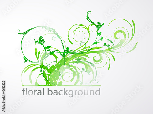 Vektor: Floral Vector Background Floral Vector Background