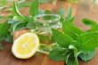 Mint oil
