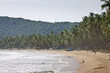 Tropical beach paradise - Palolem, Goa, India