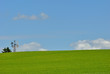 Prato verde