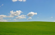 Prato verde