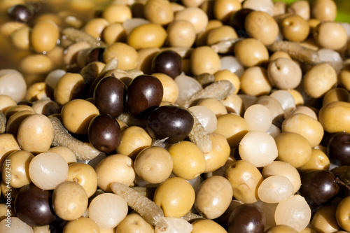 Photo: Encurtidos de aceitunas, pepinillos y cebolletas Encurtidos de aceitunas, pepinillos y cebolletas