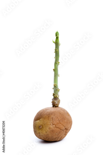 Photo: New Life New Life