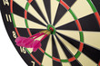 Dart Game
