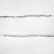 white ripped paper