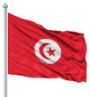 Waving Flag of Tunisia
