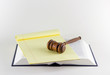 Gavel On a Legal Text Gavel On a Legal Text