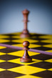 Concept of chess game with pieces Concept of chess game with pieces